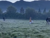 Brrr, Syafa Cerita Dinginnya Dieng -4 Derajat Bikin Dedaunan Membeku