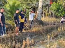 Wanita Muda Tewas di Sawah Lutim Ternyata Dibunuh Sepupu yang Masih Pelajar