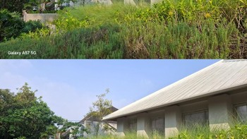Untuk foto lanskap, keduanya mampu menghasilkan detail vegetasi yang baik serta rentang dinamis yang luas. Langit dan area bayangan tetap terekam dengan seimbang berkat kemampuan HDR yang dimiliki kedua perangkat. Foto: Rizky Nur Amalia/detikINET