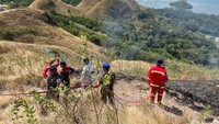 Gegara Puntung Rokok, Bukit Wisata Labuan Bajo Terbakar