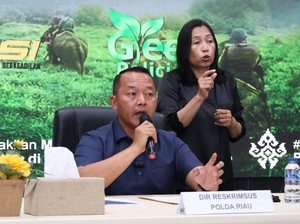 Polda Riau Usut Perambahan 100 Hektare Hutan Mangrove di Rohil
