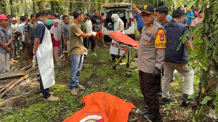 Polisi mengevakuasi mayat pria asal Garut yang tewas di kebun sawit di babel.