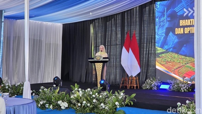 Wakil Ketua Komisi XIII DPR RI Dewi Asmara (Taufiq/detikcom)