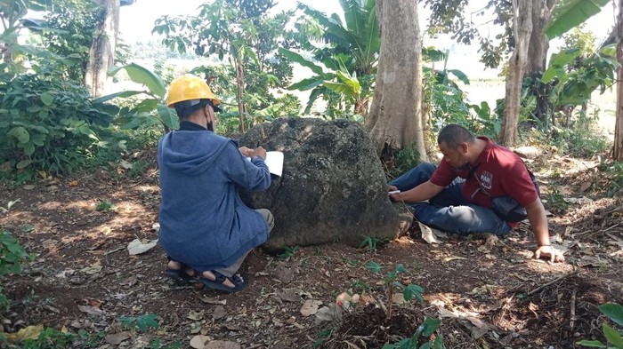 Watu dakon serta batu batolit ditemukan di Watugede, Singosari, Kabupaten Malang