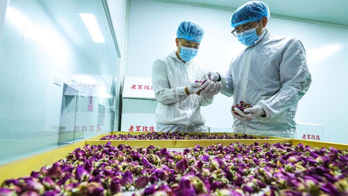 ZHANGYE, CHINA - JUNE 11: Workers stir rose jam at a processing workshop of a rose production base on June 11, 2026 in Shandan County, Zhangye City, Gansu Province of China. (Photo by VCG/VCG via Getty Images)