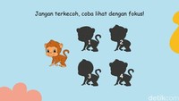 Kejelian Mata Bakal Diuji, Tebak Bayangan yang Sesuai dengan Gambar