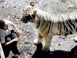 Bukan Penampakan Hantu, Deretan Foto Ini Tak Kalah Menyeramkan