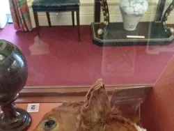 Bukan Penampakan Hantu, Deretan Foto Ini Tak Kalah Menyeramkan