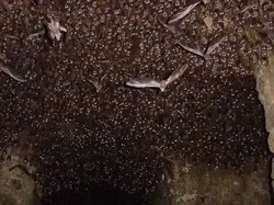Bukan Penampakan Hantu, Deretan Foto Ini Tak Kalah Menyeramkan