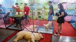 Dari Hobi Jadi Peluang Bisnis, Pameran Internasional Dongkrak Ekonomi Kreatif