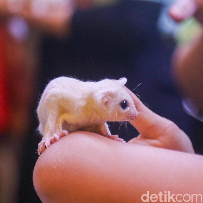 Dari Hobi Jadi Peluang Bisnis, Pameran Internasional Dongkrak Ekonomi Kreatif