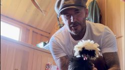 Slow Living ala David Beckham, Berkebun dan Cek Kandang Ayam