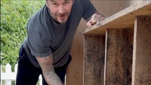 David mengecek langsung kandang dan tempat bertelur ayam-ayamnya. Foto: Instagram @davidbeckham