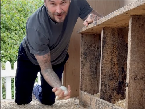 Slow living ala David Beckham.