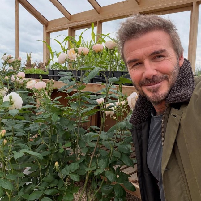 Slow Living ala David Beckham, Berkebun dan Cek Kandang Ayam