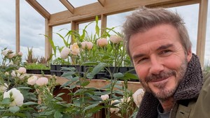 Semringah David Beckham menunjukkan pohon di kebun buatannya. Foto: Instagram @davidbeckham