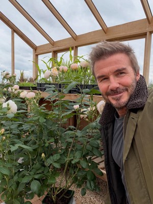 Slow Living ala David Beckham, Berkebun dan Cek Kandang Ayam