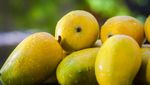 Mengenal Manggis, Buah Premium yang Dijuluki Ratu Buah Dunia