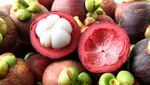Mengenal Manggis, Buah Premium yang Dijuluki Ratu Buah Dunia