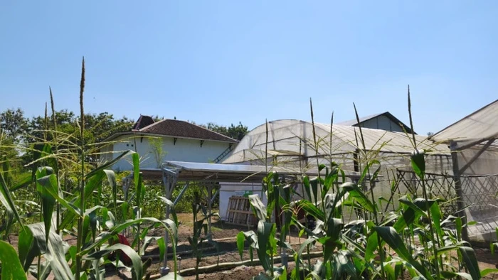 Pemasangan teknologi panel surya Agrovoltaic di Desa Pandowoharjo, Sleman, Daerah Istimewa Yogyakarta.