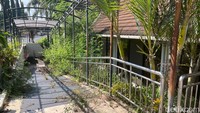 Wacana reaktivasi Bandara Adisutjipto pun disambut baik salah satunya oleh para sopir taksi di sekitar lokasi. Purwanto, pengemudi taksi yang telah beroperasi di Bandara Adisutjipto sejak 2004 itu mengaku gembira mendengar adanya rencana penerbangan di bandara tersebut.