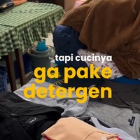 Viral Eks Dosen ITB Sukses Bisnis Laundry Unik, Nyuci Pakai Sampah Buah!