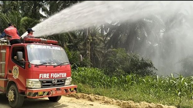 Cegah gagal panen, polisi semprot 12 hektare lahan jagung di Pangkalan Kuras, Pelalawan, Riau dengan mobil damkar, Jumat (12/6/2026).