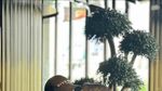 Mesranya! Cristiano Ronaldo dan Georgina Makan bareng di Restoran Mewah