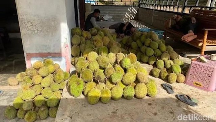 Durian di kawasan Jalan Diponegoro, tepatnya di sekitar TPU Sekip