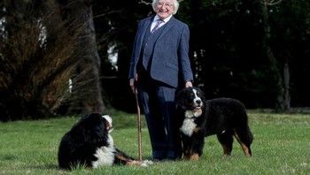 Presiden Irlandia Michael D. Higgins berpose bersama dua anjing kesayangannya. Sosoknya dikenal ramah dan sering mencuri perhatian karena kecintaannya terhadap hewan. Foto: Boredpanda