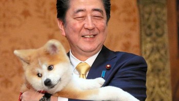 Mantan Perdana Menteri Jepang Shinzo Abe menggendong seekor anak anjing Akita yang merupakan hadiah diplomatik dari Rusia. Ekspresi bahagianya sukses mencairkan suasana formal. Foto: Boredpanda