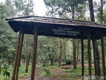 Pendakian Gunung Adeng Padukan Keindahan Alam dan Nilai Spiritual