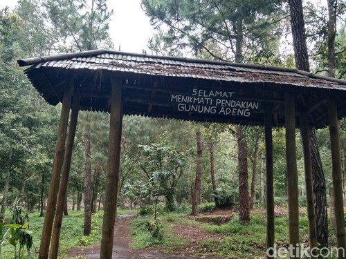 Jalur pendakian Gunung Adeng di Kecamatan Baturiti, Tabanan, Bali. (Foto: Krisna Pradipta/detikBali)