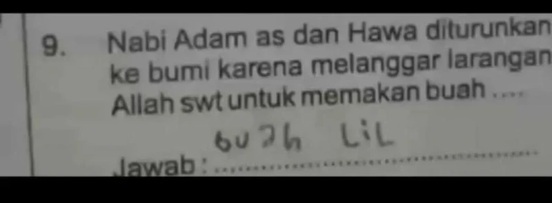 Kumpulan Jawaban Gen Alpha