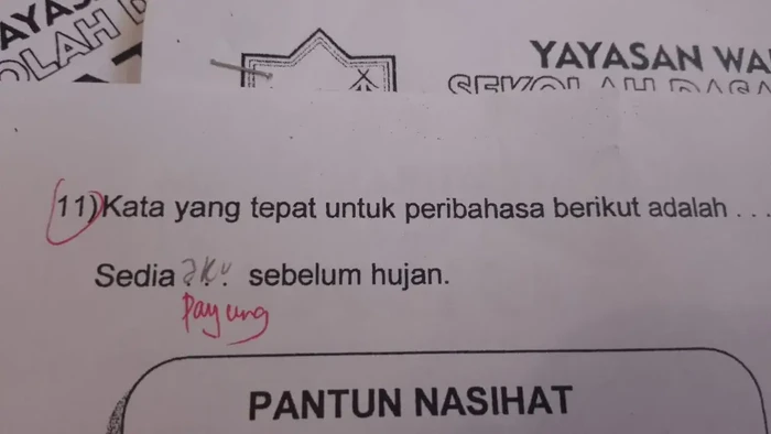 Jawaban Gen Alpha Ini Bikin Syok dan Ngakak, Ada yang Bikin Geleng Kepala