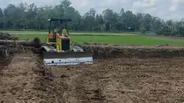 Pemerintah Kabupaten Luwu Utara telah mencetak 2.960 hektare sawah baru dan menargetkan 20.000 hektare untuk meningkatkan kesejahteraan masyarakat.