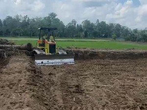 Pemkab Luwu Utara Cetak 2.960 Hektare Sawah Baru hingga Juni 2026