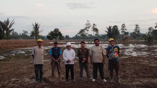 Luwu Utara Pemerintah Kabupaten Luwu Utara telah mencetak 2.960 hektare sawah baru.