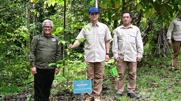 Mentrans saat meninjau kawasan Samboja Lestari