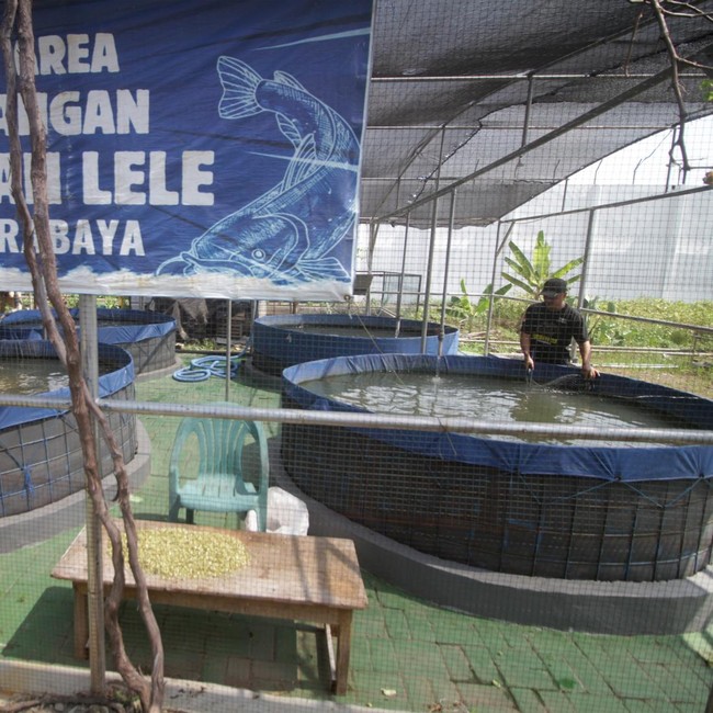 Bekal Hidup Baru dari Balik Jeruji, Warga Binaan Asah Keterampilan Produktif