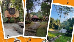 Video: JALAN YUK! Hidden Gem di Puncak! Ada Resto dan Camping Ground