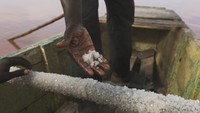 Kandungan garam yang tinggi membuat danau ini menjadi salah satu pusat produksi garam penting di wilayah Afrika Barat. REUTERS/Raghed Waked  