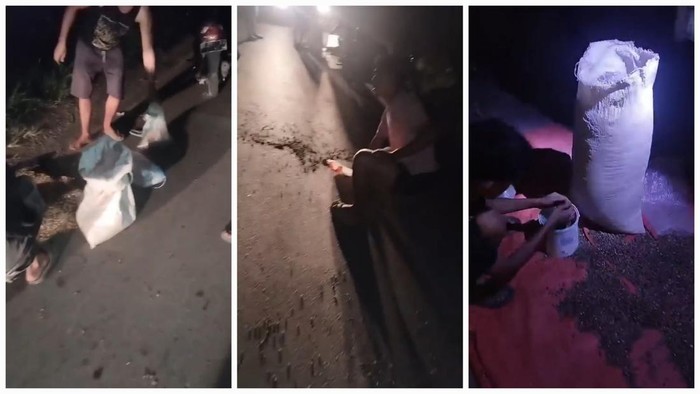 Para sopir truk memungut kopi yang berserakan usai aksi bajing loncat di Musi Rawas