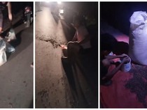 Bajing Loncat Curi Karung Kopi di Musi Rawas, Diduga Manfaatkan Jalan Rusak
