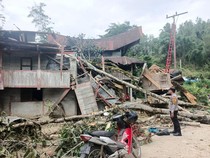 Pohon Tumbang Timpa 2 Rumah di Mamasa, Listrik Satu Kecamatan Ikut Padam