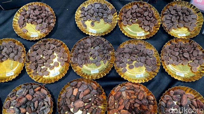 Biji Cokelat yang sudah diroaster.