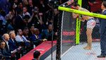 Gedung Putih Jadi Arena Tarung! Trump Gelar UFC Freedom 250 dan Saksikan Duel Panas dari Pinggir Oktagon