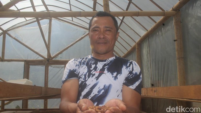 Kiryono, petani Kopi Cibulao