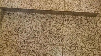 Sekilas terlihat seperti anak tangga biasa. Namun kombinasi warna lantai dan pijakan membuat orang sulit membedakan mana lantai dan mana tangga, meningkatkan risiko tersandung. Foto: Boredpanda