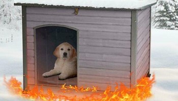 Produk ini mengklaim dapat menghangatkan rumah anjing saat musim dingin. Sayangnya, ilustrasi promosi malah membuatnya terlihat seperti sedang dipanggang. Foto: Boredpanda